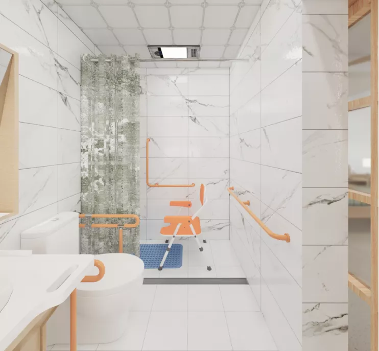 Bathroom Aging-in-Place Renovation